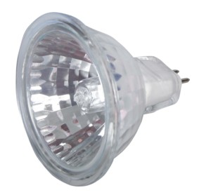 Ampoule halogne - MR16 - GX5.3 - 50W / 12V, cliquez pour agrandir 