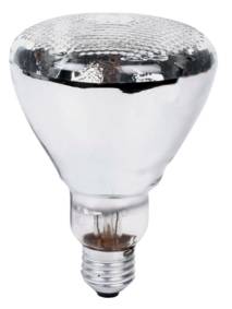 Lampe  reflecteur standard transparente - E27 - 50W, cliquez pour agrandir 