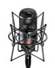 TLM 50 S - Microphone de studio doté d'une directivité omnidirectionnelle - Neumann