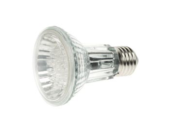 Lampe LED Par20 - 24 LEDs - Blanc Froid - 6400k, cliquez pour agrandir 